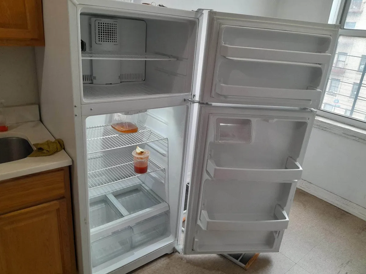 Empty refrigerator cleaned inside, shelves and drawers sparkling
