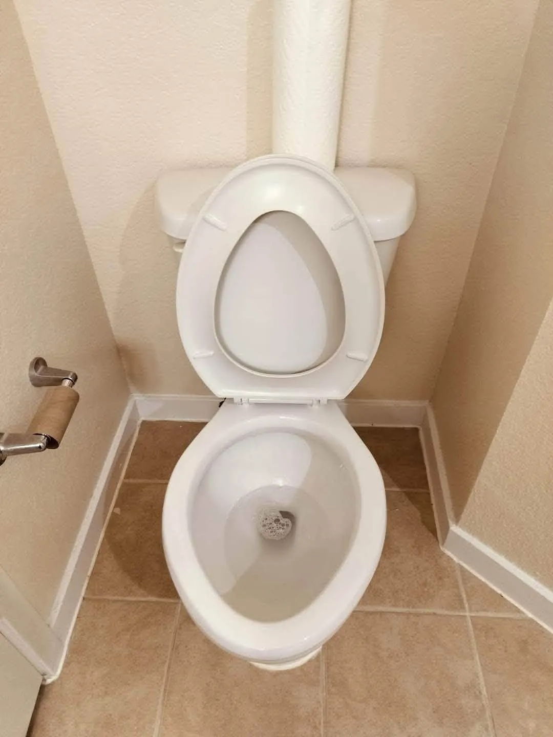 Toilet bowl after cleaning, bright white