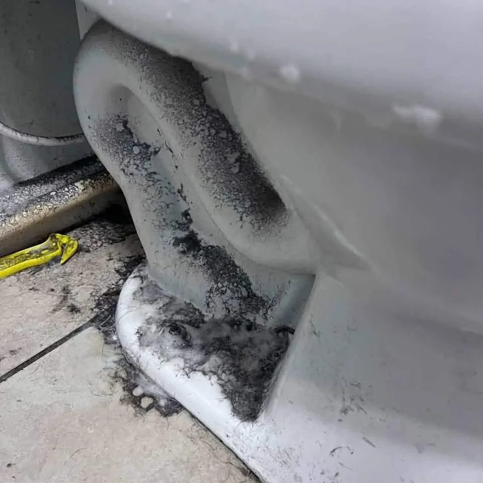 Toilet base before cleaning covered in hair and dust